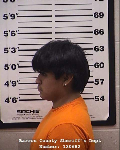 2026-02-01 01:56:56.0